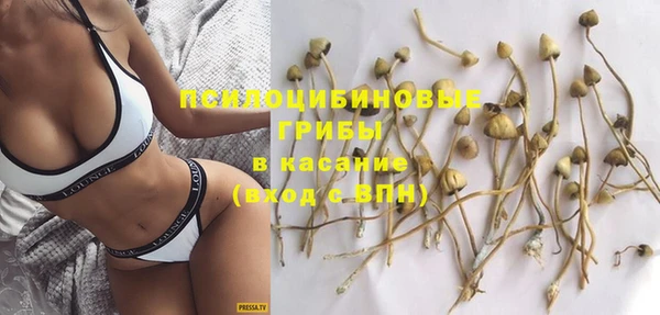 а пвп мука Балабаново