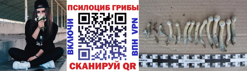 Галлюциногенные грибы Magic Shrooms  Сковородино 